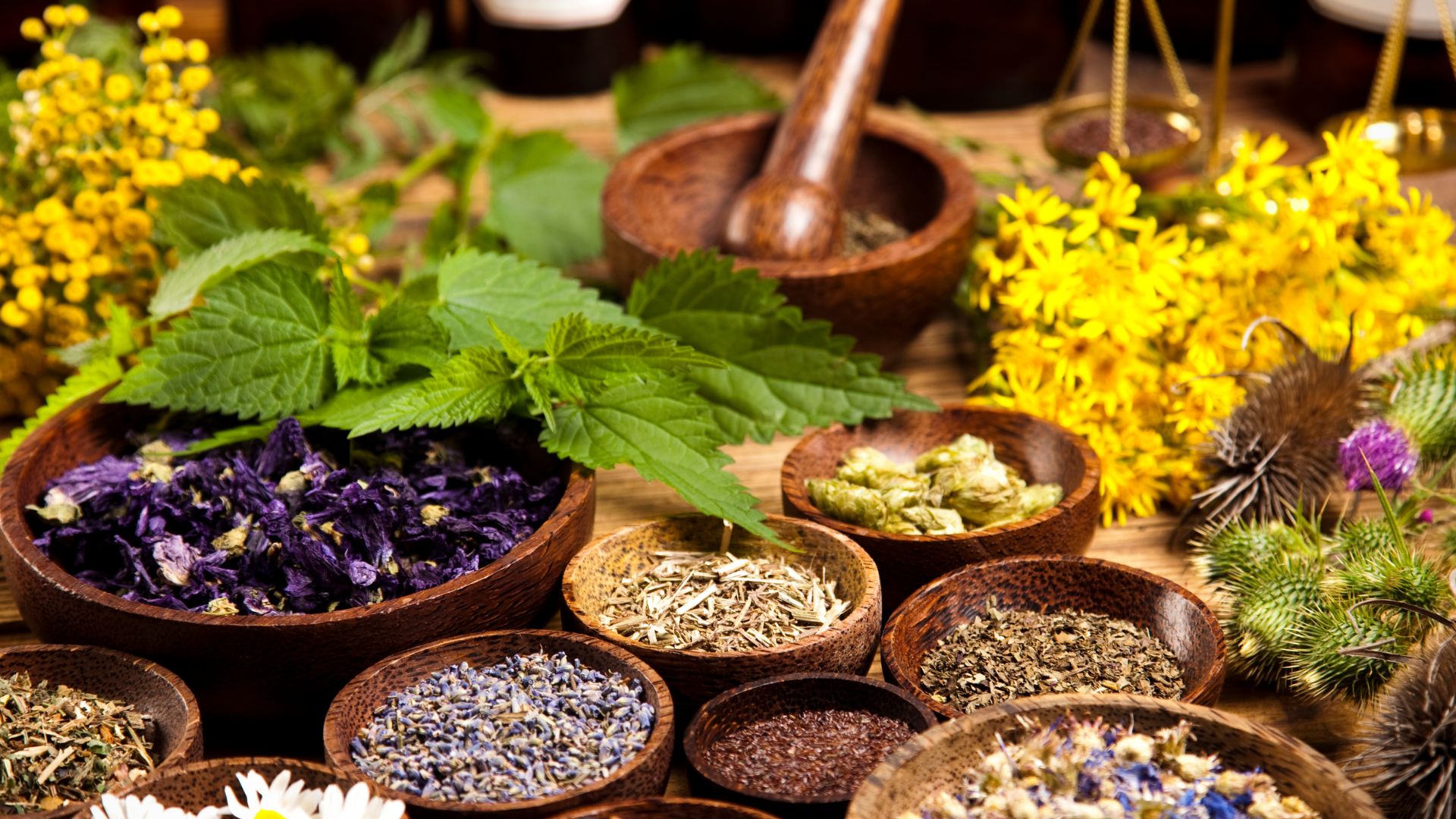 Wooden bowls of dried herbs, flowers, and spices with mortar and pestle